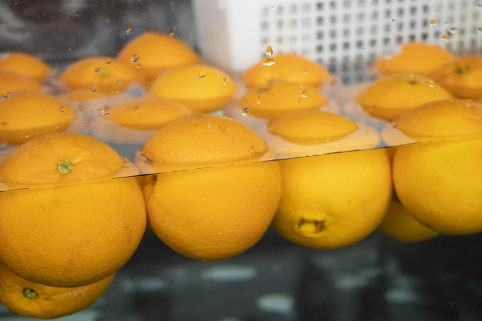 <strong>國衛院研究團隊在番石榴、檸檬、芒果、哈密瓜、柳丁和梨子等水果表面發現具抗藥性黴菌「熱帶念珠菌」，且可能透過此傳播，提醒民眾吃水果要洗乾淨。(圖／photoAC) </strong>