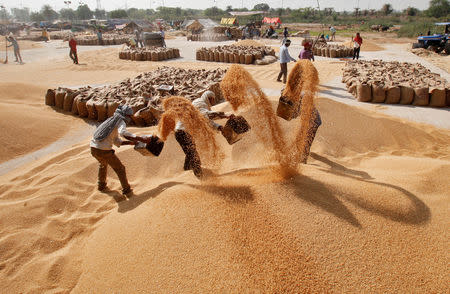 FILE PHOTO: Workers remove dust from wheat at a wholesale grain market in Chandigarh, April 17, 2017. REUTERS/Ajay Verma/File Photo