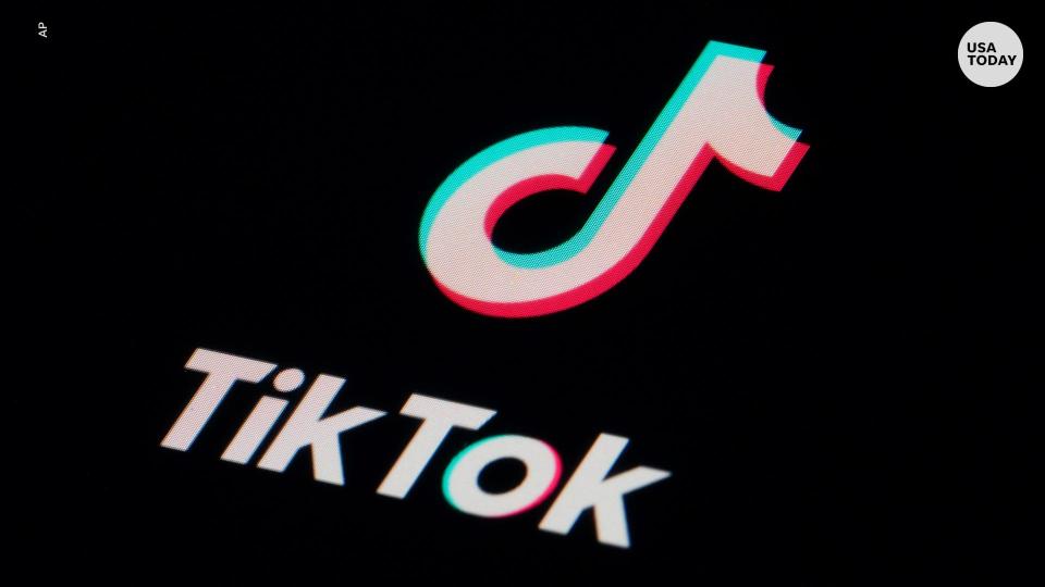 This Senate budget would ban the use of TikTok and other Chinese apps on state government devices