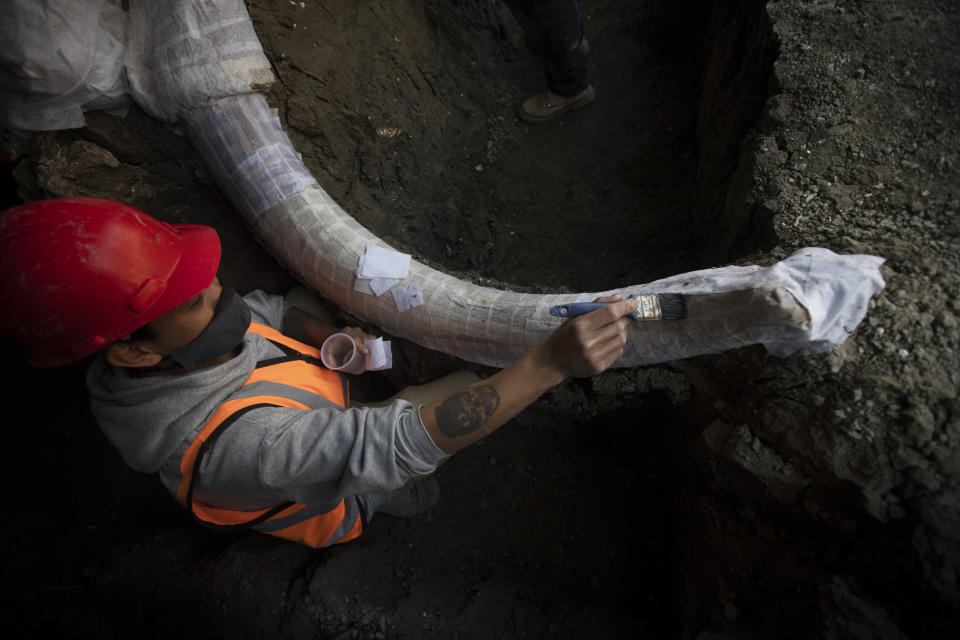 A paleontologist works to preserve the skeleton of a mammoth that was discovered at the construction site of Mexico City’s new airport in the Santa Lucia military base, Mexico, Thursday, Sept. 3, 2020. The paleontologists are busy digging up and preserving the skeletons of mammoths, camels, horses, and bison as machinery and workers are busy with the construction of the Felipe Angeles International Airport by order of President Andres Manuel Lopez Obrador. (AP Photo/Marco Ugarte)