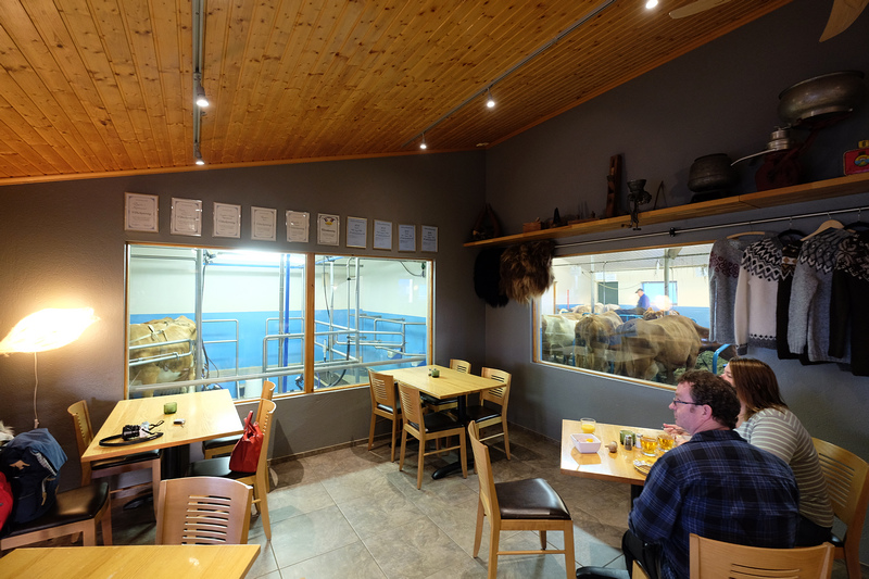 Vogafjós Cowshed Café is inside a cowshed and offers homemade local food such as smoked trout
