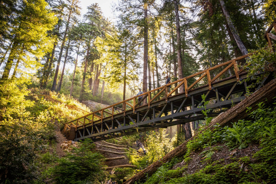 Pfeiffer Falls