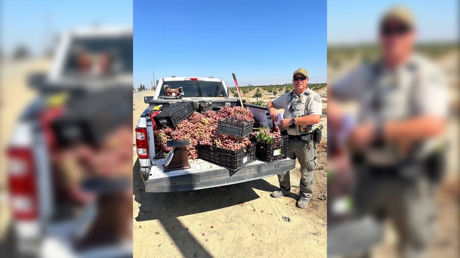 Tulare County Sheriff’s Office