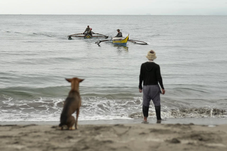 A fisherman and a dog watch as boats arrive during beach seine fishing in Tanauan, Leyte, Philippines on Wednesday, Oct. 26, 2022. Years of market pressures, lack of fisheries management and unchecked overfishing from larger commercial fishers have led to a decline in small fish such as sardines that rural coastal communities in the Philippines depend on. (AP Photo/Aaron Favila)