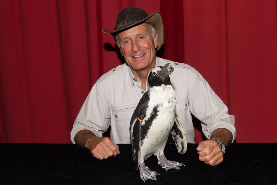 Jack Hanna Health Updates: Alzheimer's Diagnosis Details