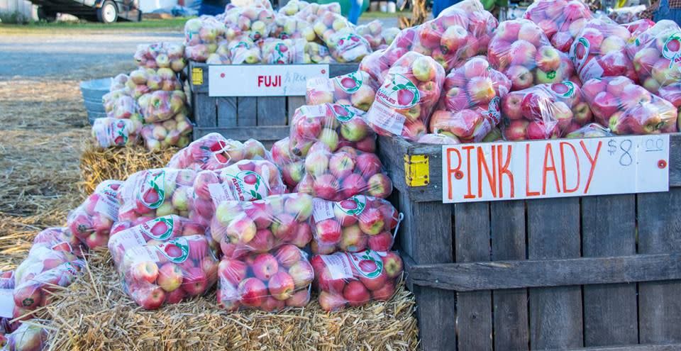 Georgia Apple Festival