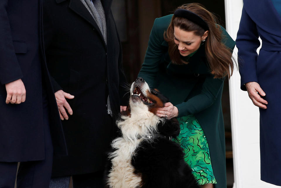 The Duchess of Cambridge pets the President Michael D. Higgins and his wife Sabina's dog, Bo, at Aras an Uachtarain, Dublin.