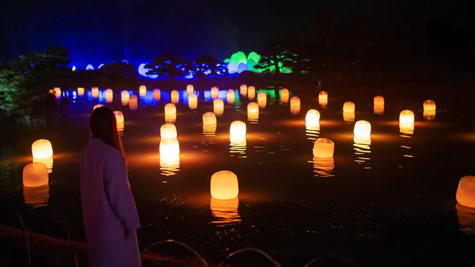 TeamLab Botanical Garden Osaka