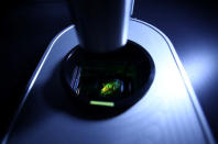 Dr. Ali Ertuerk, Group Leader at the Institute for Stroke and Dementia Research (ISD) at the Ludwig Maximillian's University, works at a laser microscope at his laboratory in Munich, Germany April 23, 2019. Mr. Ertuerk and his team developed DISCO transparency technology which is used by scientists from diverse biomedical research fields to generate high resolution views of intact rodent organs and bodies, a milestone on the way to generate 3D-bioprinted human organs. Picture taken April 23, 2019. REUTERS/Michael Dalder