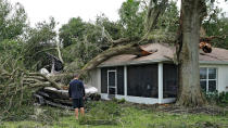 <p>A tree is completely inside a house on Sept. 29 in Valrico, Florida. </p>