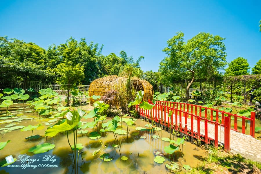 桃園｜蓮荷園休閒農場