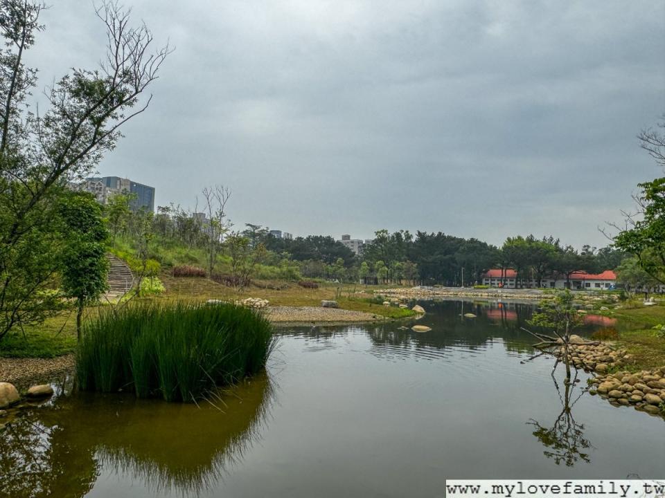 桃園大湳森林公園