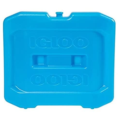 1) Igloo MaxCold Extra Large Freezer Block