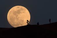 <p>A person poses for a photo as the moon rises over Griffith Park in Los Angeles, California, on Jan. 30, 2018. (Photo: Robyn Beck/AFP/Getty Images) </p>