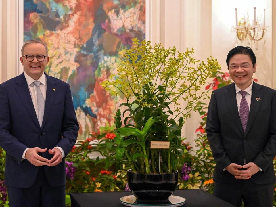 Prime Minister Anthony Albanese and Singapore’s Deputy Prime Minister, Lawrence Wong, met on Friday. Picture: Roslan Rahman / AFP