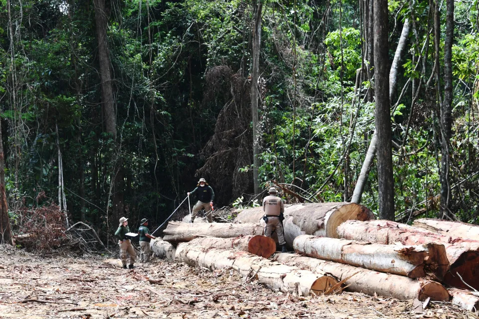 Autoridades do Estado do Par&#xe1;, norte do Brasil, inspecionam uma &#xe1;rea desmatada na floresta amaz&#xf4;nica durante vigil&#xe2;ncia no munic&#xed;pio de Pacaj&#xe1;, a 620 km da capital Bel&#xe9;m, em 22 de setembro de 2021.