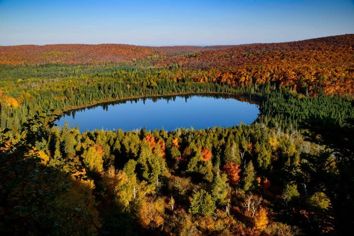 lake superior foliage