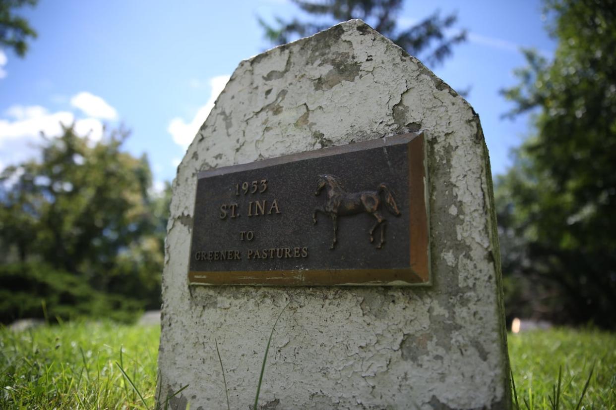 A racehorse is buried in an Oakville pet cemetery maintained by the Oakville & Milton Humane Society. University of Toronto students began excavating at the site on Friday as the humane society prepares to move to a new location.  (Alexis Raymon/CBC - image credit)