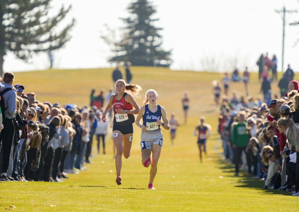 Madison Brouwer, left, of Sibley Ocheyeden and Noelle Steines of Calamus Wheatland race to the finish line during the Class 1A girls state cross country meet in Fort Dodge on Friday. Steines won by less than three seconds to repeat as 1A state champion.