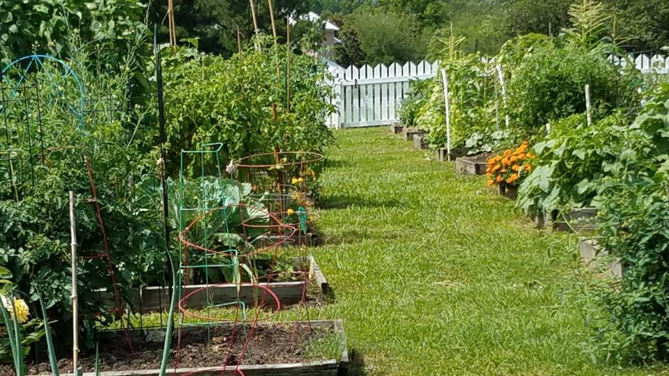 A view of the Southwood Community Garden in Tallahassee in May 2020.