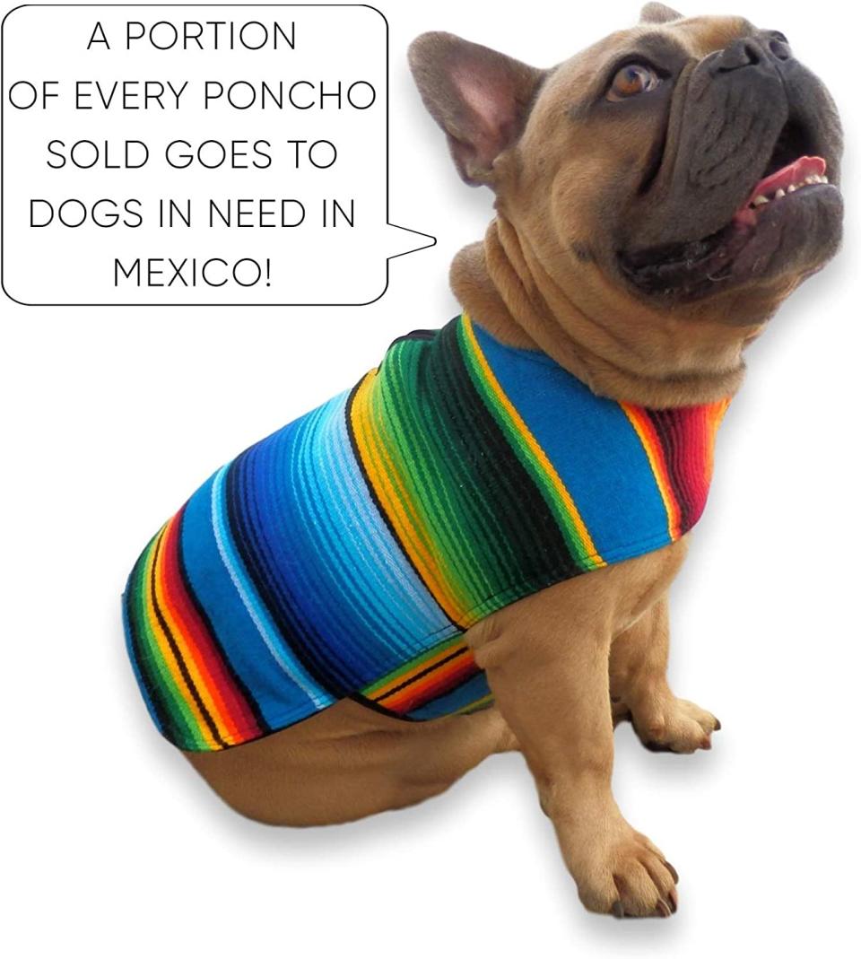 baja poncho dog sarape, small dog sweater, mexican sarape, southwestern