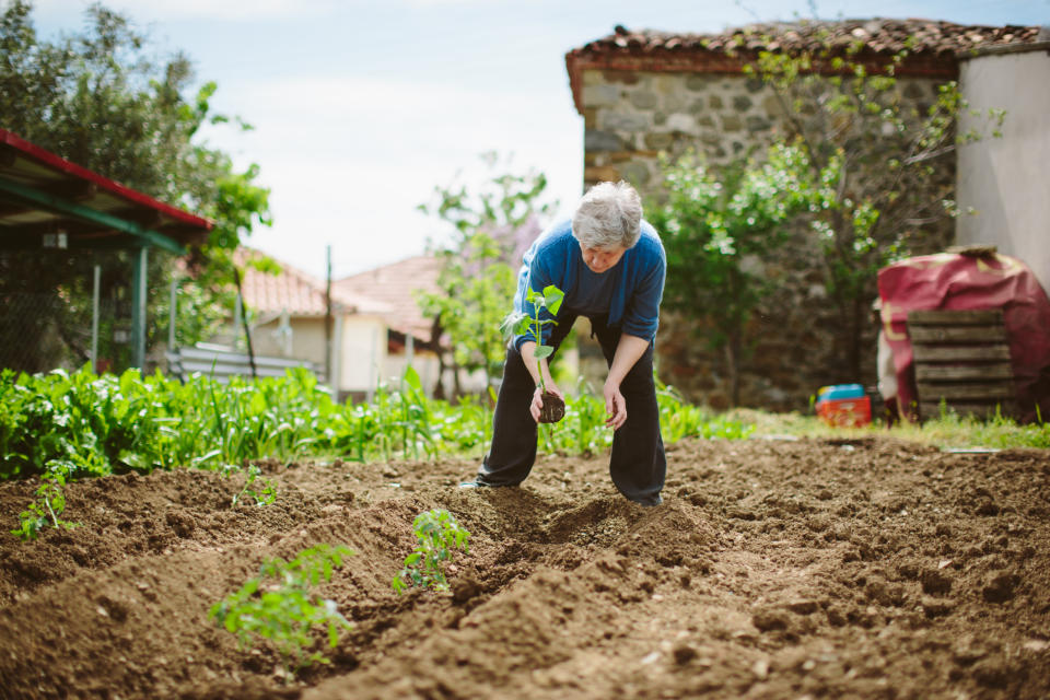 Home gardening can save Aussies around $250 per year. Source: Getty