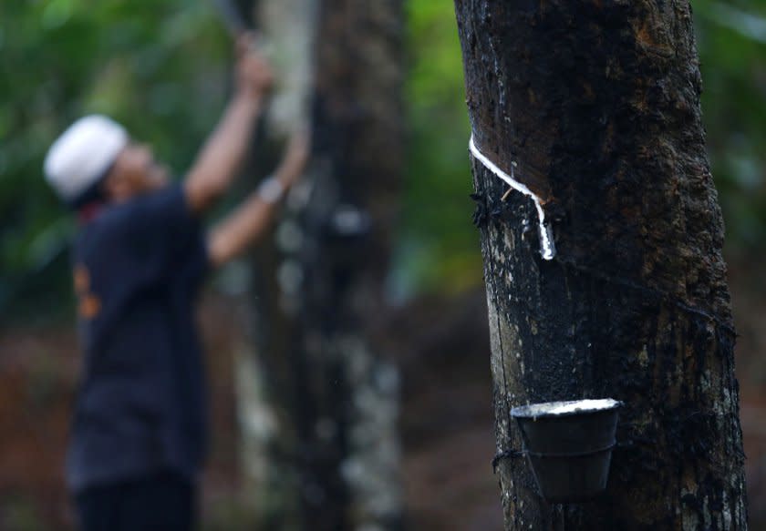 Ahmad Nazlan said MRB has deemed research projects to be important as they could help add value to the rubber industry in Malaysia by increasing revenue and exploring new avenues to benefit the country from the upstream (rubber plantation), midstream (rubber processing) and downstream (rubber product manufacturing) sectors. — Reuters pic