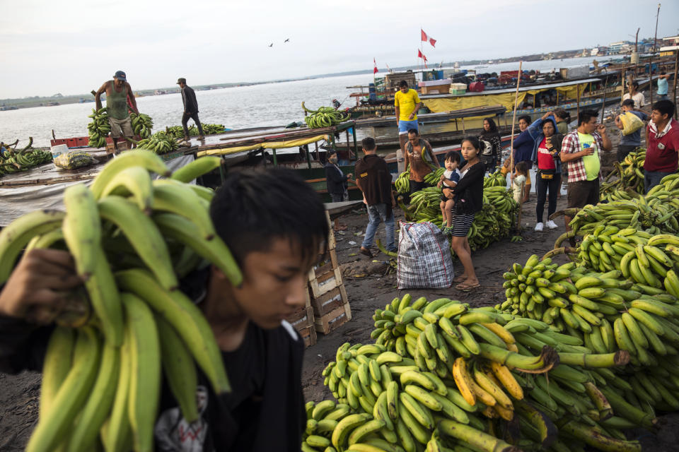 Un joven shipibo carga una piña de plátanos al hombro en el puerto de Pucallpa, en la región peruana de Ucayali, el 1 de septiembre de 2020, durante la pandemia del coronavirus. Se cree que el puerto de Pucallpa, desde donde se exporta madera, bananas y otras frutas, es uno de los principales focos de contagio. (AP Foto/Rodrigo Abd)