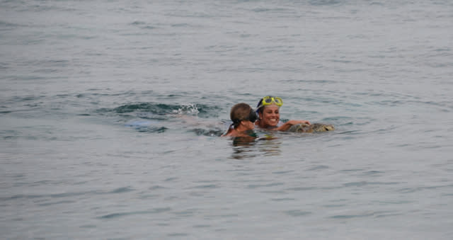 Swim with turtles in Derawan Islands, East Kalimantan