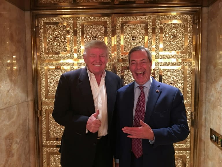 Former US president Donald Trump dubbed Nigel Farage 'Mr Brexit' (Andy WIGMORE)