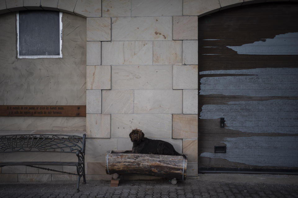 In this April 28, 2020 photo, a dog rests on the sidewalk of the main road in Duruelo de la Sierra, Spain, in the province of Soria. Many in Spain's small and shrinking villages thought their low populations would protect them from the coronavirus pandemic. The opposite appears to have proved true. Soria, a north-central province that's one of the least densely peopled places in Europe, has recorded a shocking death rate. Provincial authorities calculate that at least 500 people have died since the start of the outbreak in April. (AP Photo/Felipe Dana)