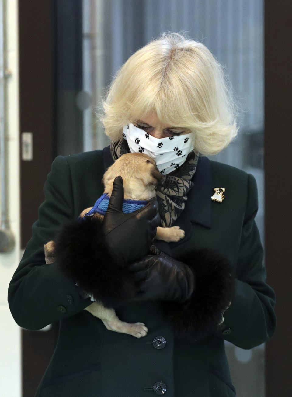 WINDSOR, ENGLAND - DECEMBER 09: Camilla, Duchess of Cornwall meets a Pug Puppy called Ernie as she visits the Battersea Dogs and Cats Home to open the new kennels and thank the centre's staff and supporters on December 9, 2020 in Windsor, United Kingdom. (Photo by Steve Parsons - WPA Pool/Getty Images)