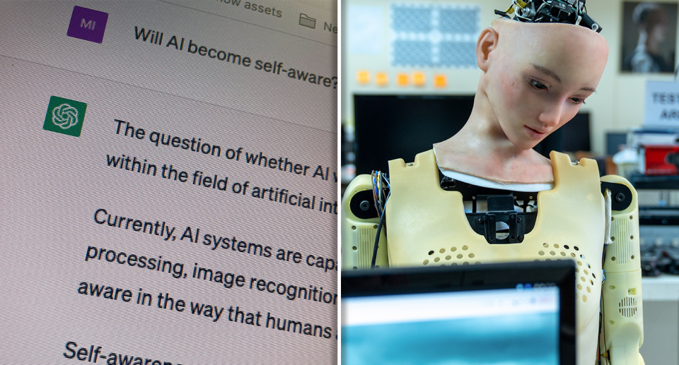 Left - a screenshot from ChatGPT. Right - A robot in front of a computer screen.