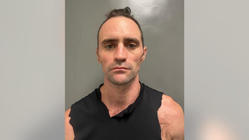 <div>Kenneth Shea, 47, is facing first-degree murder charges in the stabbing death of his estranged wife, Elizabeth Shea.</div>