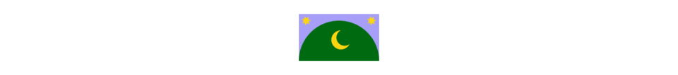 flag icon