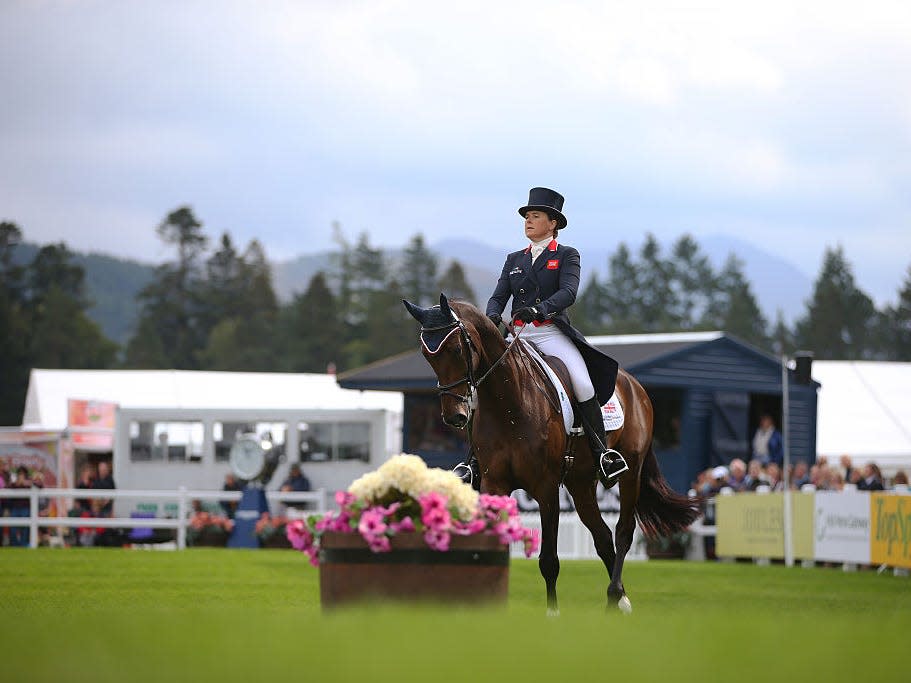 equestrian dressage horse