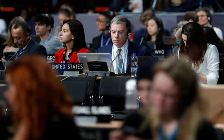 Participants take part in plenary session, during the final day of the COP24 U.N. Climate Change Conference 2018 in Katowice, Poland, December 14, 2018. REUTERS/Kacper Pempel