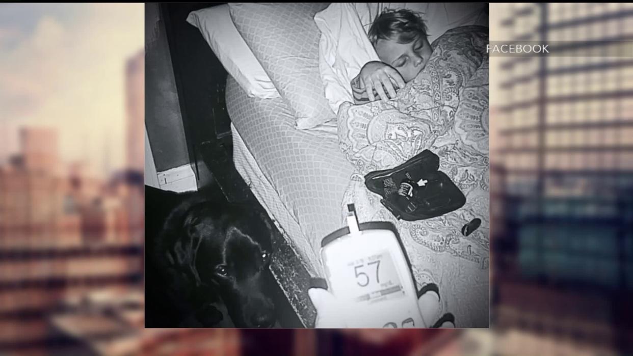 Diabetes Sniffing Dog Saves 7-Year-Old Boy&#39;s Life