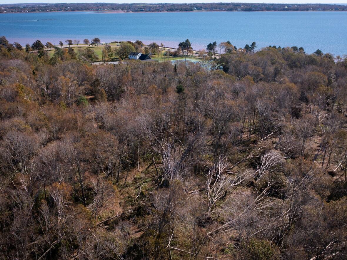 Some of the damage from post-tropical storm Fiona in Victoria Park as seen from the CBC drone on Oct. 4, 2022.   (Shane Hennessey/CBC  - image credit)