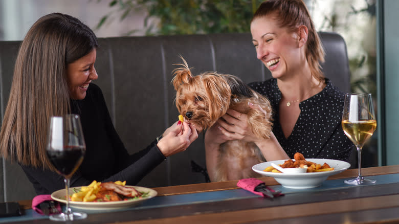 Two restaurant patrons in the interior dining room with a dog