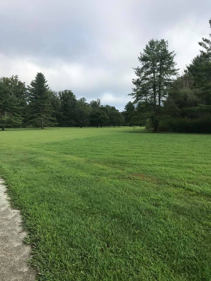 A view of the open meadow at The Park at Flat Rock.