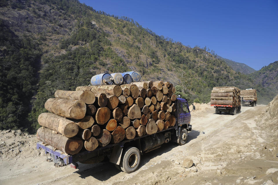 In this Jan. 23, 2011 photo released by Fauna & Flora International Tuesday, April 1, 2014 for editorial use, trucks transport illegally logged timber to China in Sawlaw, northern Kachin State, Myanmar. The British-based conservation group said Tuesday illegal Chinese logging and demand for monkey bones are threatening the Myanmar snub-nosed monkey, a rare monkey species in northern Myanmar. (AP Photo/Jeremy Holden, Fauna & Flora International)