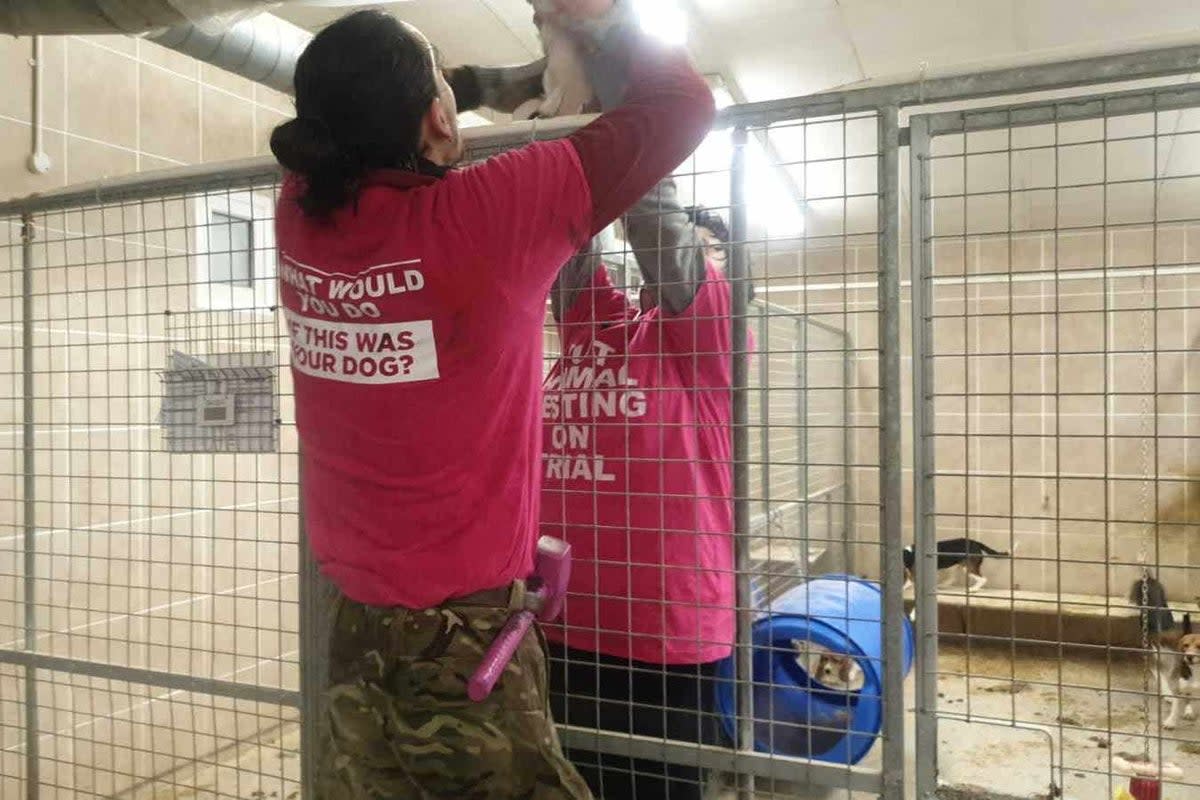 Activists during their break-in on Tuesday (PA Media)