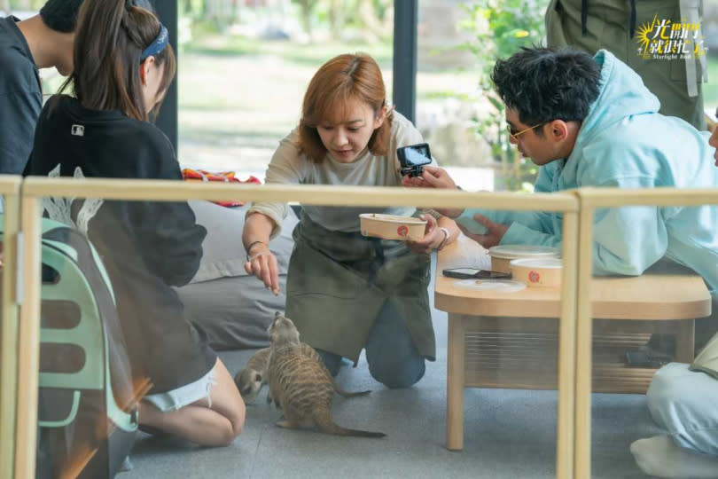 陳意涵（中）打翻飼料盒，瞬間活蟑螂爬滿地。（圖／ TVBS提供）