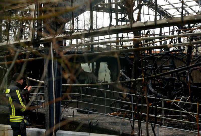 A firefighter inspects a burned monkey house in the zoo of Krefeld