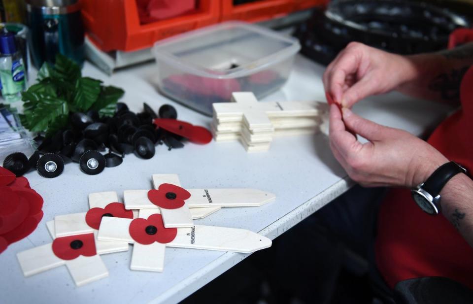 The Poppy Appeal raises funds for the armed forces community (EPA)