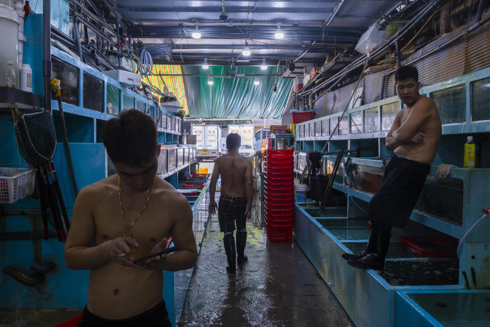 Workers arrange fish at a wholesaler that has stopped selling fish from Japan, following news from Japan on its plan to discharge treated radioactive wastewater into the sea, at the Aberdeen Wholesale Fish Market, in Hong Kong, Thursday, July 13, 2023. (AP Photo/Louise Delmotte)