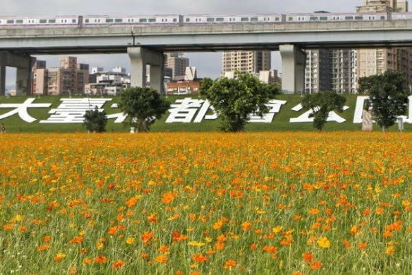 三重大都會幸福水漾公園。（圖片來源／新北市政府）