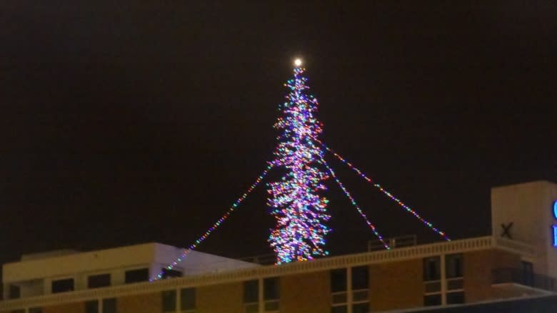 Tree of Lights tradition goes dark in Prince George — but just for 1 year