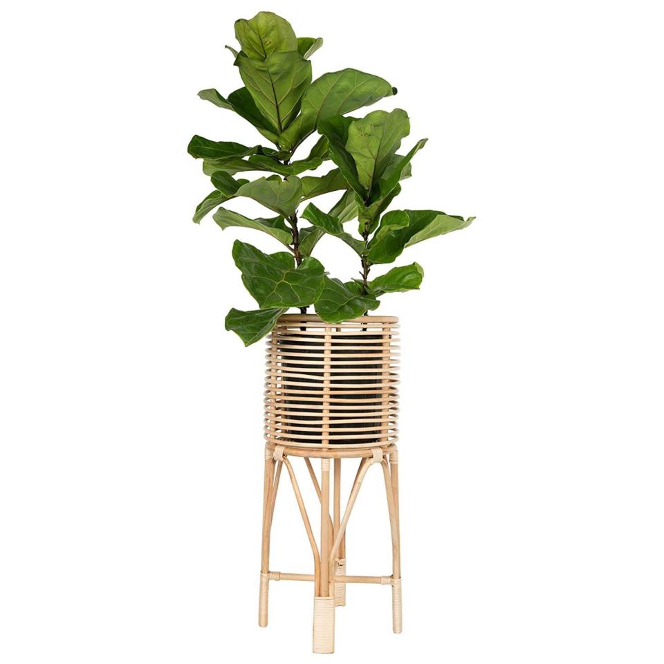 3) Kouboo Rattan Plant Stand